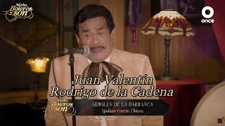 Árboles De La Barranca - Juan Valentín y Rodrigo de la Cadena - Noche, Boleros y Son