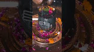 महादेव की चेतावनी # सिर्फ एक प्रदोष करना सारी तकलीफ है दूर#Om Namah Shivay #short