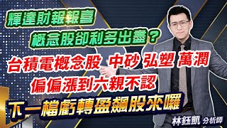 中視【股林高手】20240222 #林鈺凱：輝達財報報喜 概念股卻利多出盡？ 台積電概念股 中砂 弘塑 萬潤 偏偏漲到六親不認 下一檔虧轉盈飆股來囉 #中視新聞 #股林高手