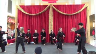 Master Cho's Taekwondo - 2014 Lunar New Year at Southcenter Mall 1