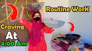 My Daily Routine Work | Craving at 4:00 Pm | PK Youtube Family