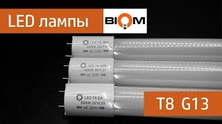 Светодиодная лампа BIOM Т8 G13 распаковка, обзор