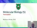 BioM05 Molecular Biology 2021 2022 Transcription 1  intro + prokaryotes Arabic