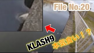 低水温期の琵琶湖でKLASH9 GAME！【琵琶湖 おかっぱり バス釣り】(DRT KLASH クラッシュ)