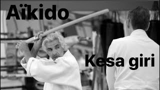 Aikido - Kesa giri, aikiken by Bruno Gonzalez