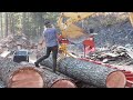 Building a House Start to Finish: Sawmilling 155-Piece Timber Frame