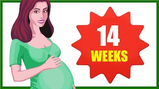 14 Weeks Pregnant Symptoms – Baby Size in Womb and Baby Movement
