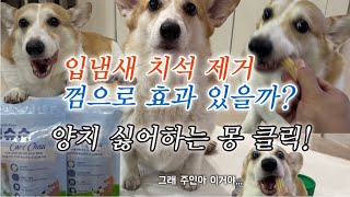 강아지 덴탈껌 인생 건강간식 치석제거껌으로 멍슈슈를 추천하는 이유