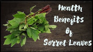 Health Benefits Of Gongura II @ApoorvaDietician