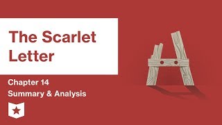 The Scarlet Letter  | Chapter 14 Summary and Analysis | Nathaniel Hawthorne