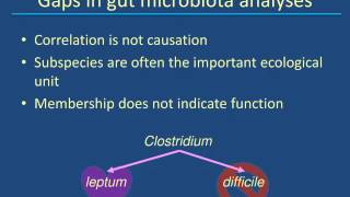 Dr. Heather Allen - The Swine Gut Microbiota: Status and Outlook