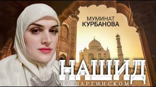 Муминат Курбанова – «НАШИД НА ДАРГИНСКОМ»