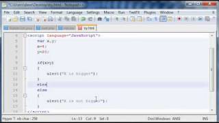 JavaScript Tutorial #11 if-else structure