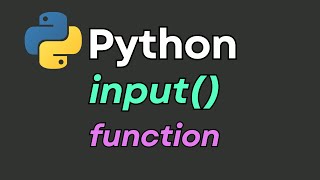 Interactive Python Scripts: MASTER the INPUT() FUNCTION