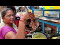 egg pakoda egg bonda recipe egg bajji tomoto bajji mirchi bajji yummy evening snacks video