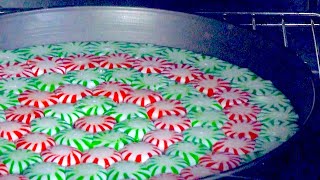 Put Peppermints In The Base Of A Springform Pan \u0026 Make Everyone's Christmas Merry!