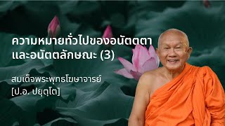 ความหมายทั่วไปของอนัตตตาและอนัตตลักษณะ (3) โดย สมเด็จพระพุทธโฆษาจารย์ ป.อ.ปยุตฺโต