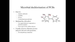 Reductive dehalogenation of persistent organic pollutants