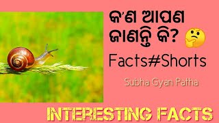 କ'ଣ ଆପଣ ଜାଣନ୍ତି କି? 🤔Facts#Shorts