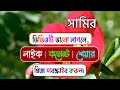 সামির নামের অর্থ কি samir namer ortho ki samir name meaning