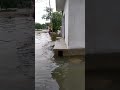 badh ke pani se ghar doob gaya viral shorts prayagraj