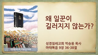 왜 일꾼이 길러지지 않는가?(한글킹제임스성경 / 성경침례교회 담임목사 박승용 주일오전설교)