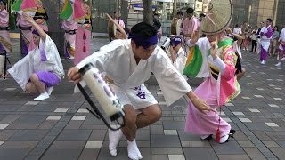 デモ「初台連」第51回中目黒夏まつり 阿波おどり（2016.8.6）