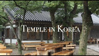 KOREA | Ganghwa Jeondeungsa Temple (강화 전등사)