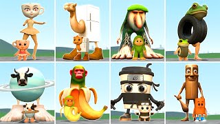 EVOLUTION OF BABY TO ADULT BRAINROT AI MEMES TUNG TUNG SAHUR BALLERINA CAPPUCCINA in Garry's Mod
