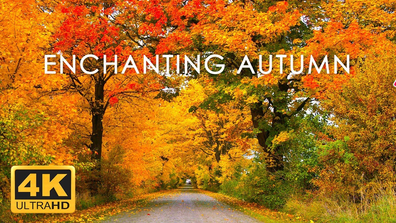 11 Hrs Incredible Fall Foliage Best 4k Autumn Nature Scenes From