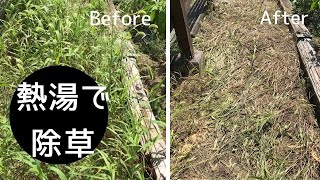 【庭DIY】除草に疲れた方へ・・・熱湯で除草もあり！見事に枯れる！いろんな除草方法で庭を美しくできたら