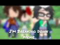 I'm Breaking Down Meme-