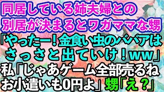 【スカッとする話】同居している姉夫婦に甘やかされワガママ散財し放題のDQN甥「金食い虫のババア出ていけ！」私「じゃあゲーム私のだから全部売るね！」→ブチギレた私が真実を伝えて出ていくと…w【