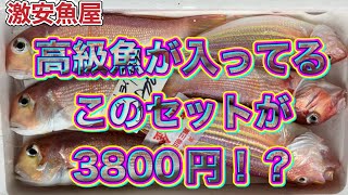 『高級魚甘鯛セットが1箱3800円』令和6年11月15日の激安魚屋@福井県敦賀市相木魚問屋