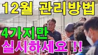 12월 관리방법, 동해와냉해예방, 겨울철관수방법, 꽃눈관리방법