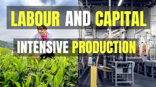 Labour and Capital Intensive Production