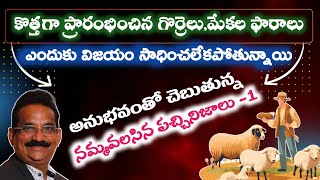 Concept of  Intensive System | Zero Grazing | జీవాల పెంపకంలో సవాళ్లు - ప్రతి సవాళ్లు