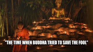 The Time When Buddha Tried To Save The Fool - BUDDHA STORY