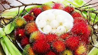 Rambutan Bird's nest | Fruit & Vegetable CARVING AND CUTTING TRICKS