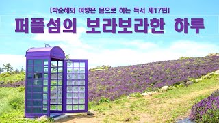 퍼플섬의 보라보라한 하루 [여행나라]