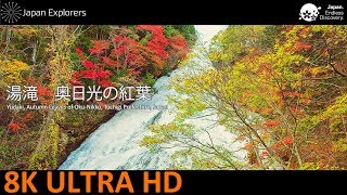 湯滝　奥日光の紅葉　Yudaki, Autumn Leaves of Oku-Nikko [8K]