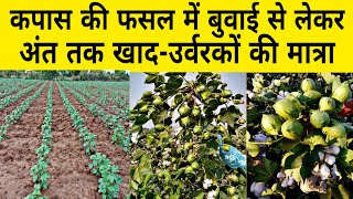 कपास में कौनसा खाद डाले | npk fertilizer | DAP khad | 13 0 45 fertilizer | kapas ki kheti | npk