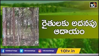 రైతులకు అదనపు ఆదాయం | Success Story Of Adilabad Farmers | Matti Manishi | 10TV News