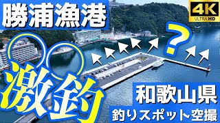 【勝浦漁港】めっちゃ便利！通年でアジが釣れる絶好ポイントあり。春秋はアオリイカ。車中泊も出来る至れり尽くせりの釣り場。那智勝浦町。釣りスポット空撮【和歌山県】4K