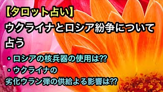 【タロット占い】ウクライナ紛争について占う【ロシアは核兵器を使用するのか / 劣化ウラン弾引き渡しはどうなるか】