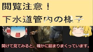 【閲覧注意】下水道管内カメラ調査　※食事中視聴厳禁