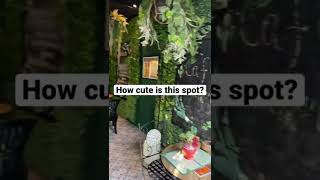 Check out this super adorable vegan restaurant in Phuket 😍