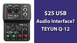 A $25 USB Interface? The TEYUN Q-12