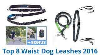 8 Best Waist Dog Leashes 2016