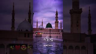 Hamare Huzoor ﷺ Ki 6 khubsurat Hadees | Urdu Status Videos Islamic Status Videos 4k Full Screen